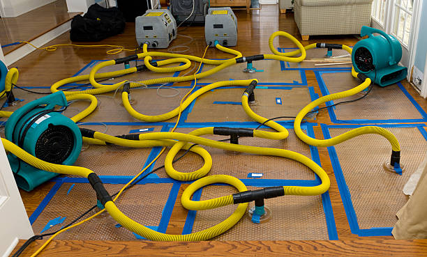 Professional Structural Drying And Dehumidification technician working in Westwood, PA